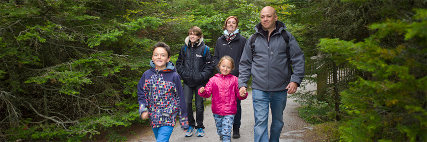 A family of smiling visitors hikes a path in the forest.