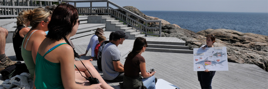 Une activité d’interprétation dans l’amphithéâtre au bord de l’eau avec des visiteurs et une guide interprète.