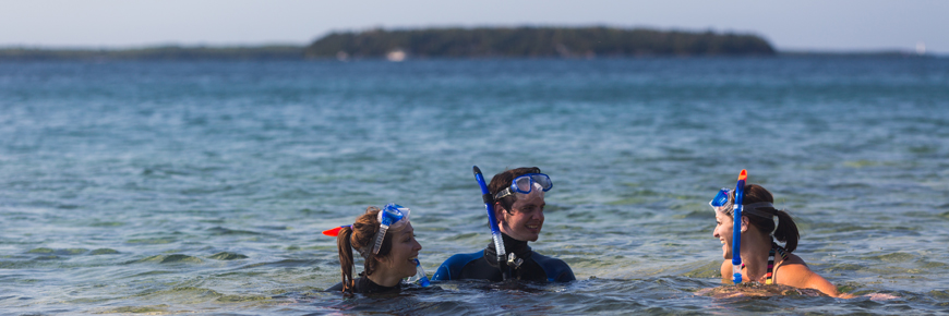 Three snorkelers in the water. 