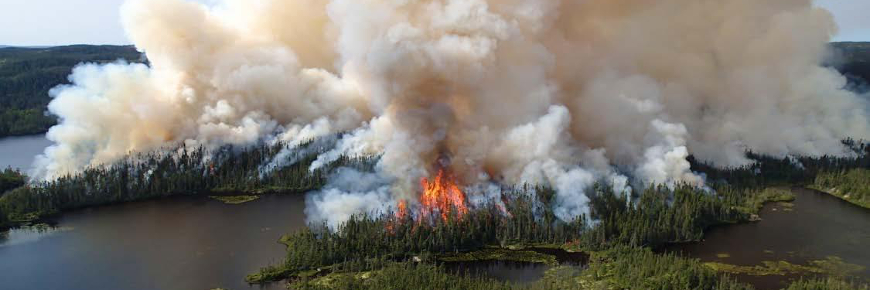 Aerial view of a prescribed fire in a pondside forest.
