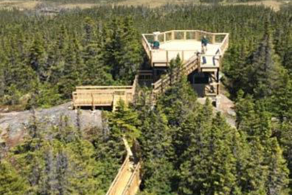 A wooden lookout platform overlooking a forest.