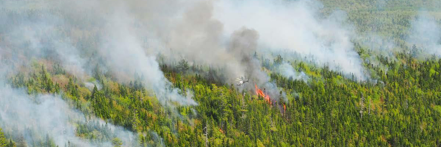 Aerial view of a helicopter flying over a burning forest.