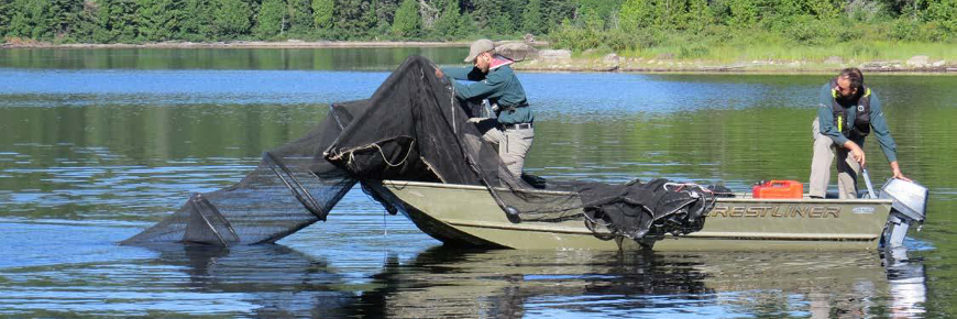 Two men in a small outboard boat handling a large, elongated net.