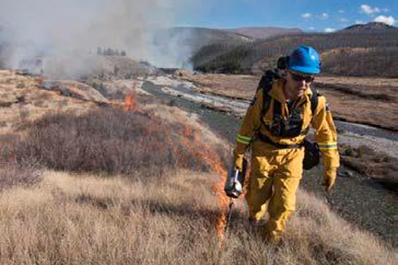 Un travailleur tient un lance-flammes portable dans un champ qui brûle à l’arrière.