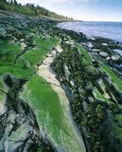 Un littoral rocheux recouvert de mousse verte.