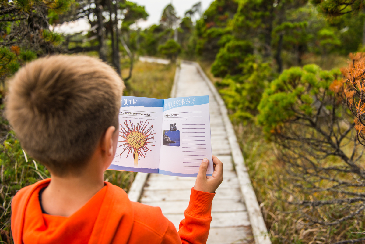 A child on a boardwalk looking at a map