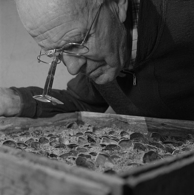 Photo historique d'un homme qui examine des fleurs