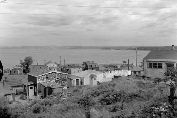 An archival photo of Africville, in Nova Scotia.