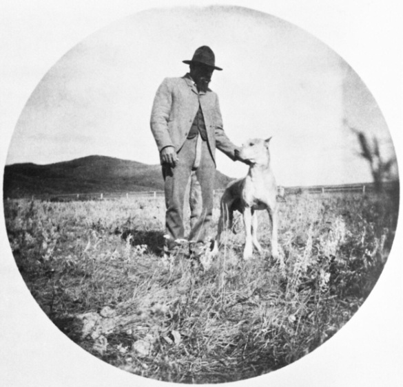 Man and a dog