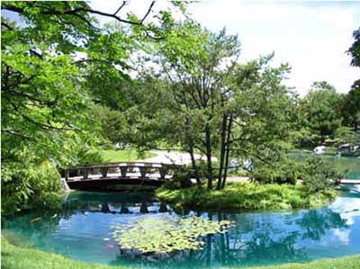 A bridge over a pond in a garden