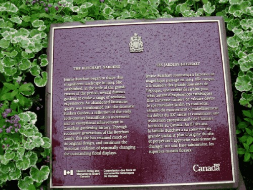 Plaque commémorative en bronze entourée de plantes
