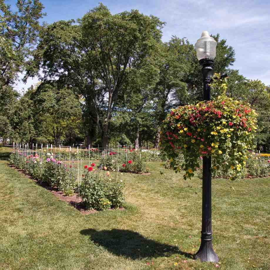 Photo de plantes colorées dans un jardin historique