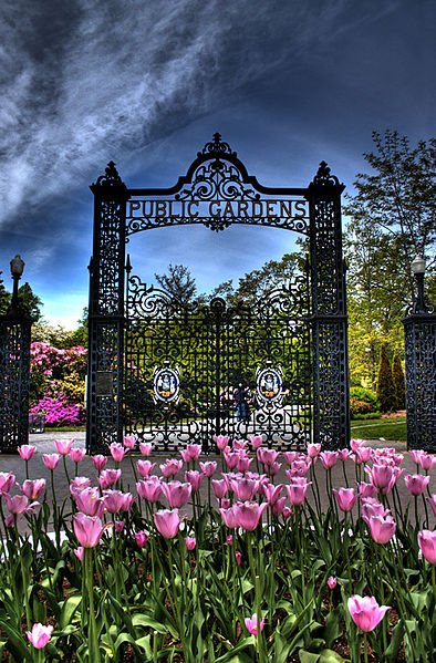 Photo of garden gates with pink flowers 