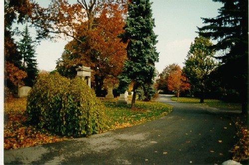 Photo of a pathway into a cemetery during autumn