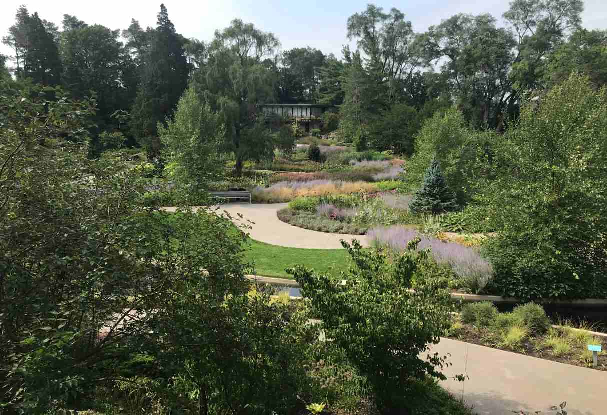 Image of a garden with trees and a path