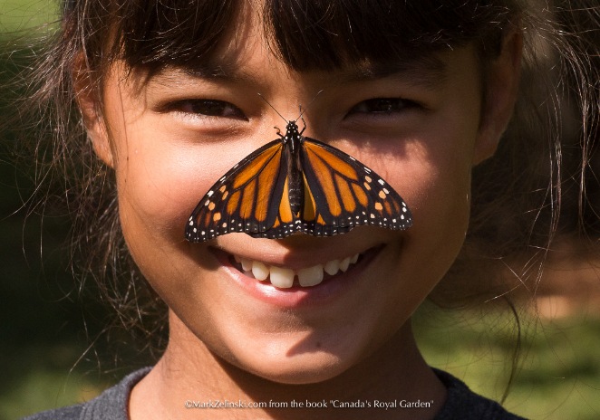 Image of a girl with a butterfly on her face