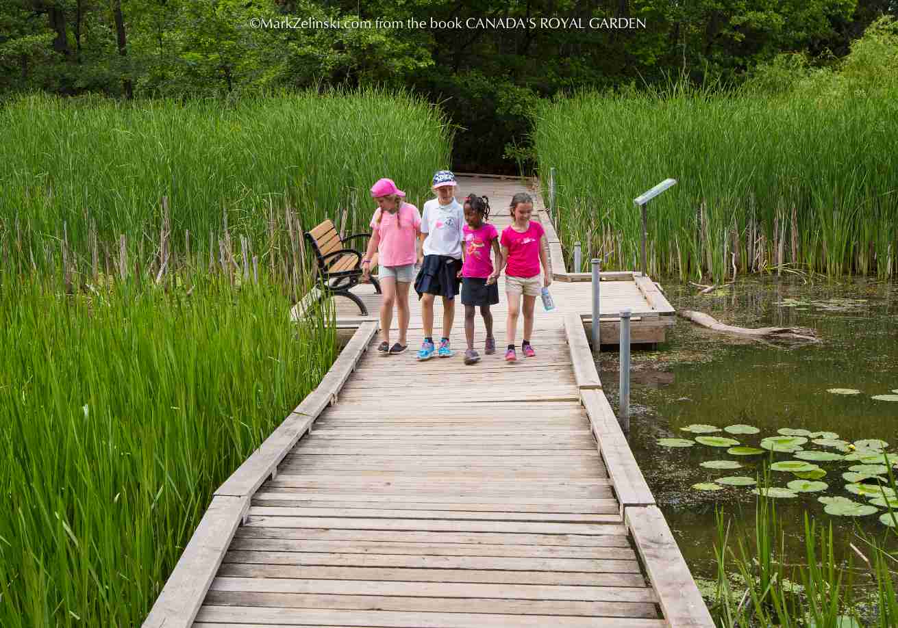 Image of four children walking on a path