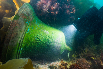 Green bell lies on its side surrounded by sea vegetation. A diver’s illuminated light shines on a distinct arrow midway on the bell’s body.