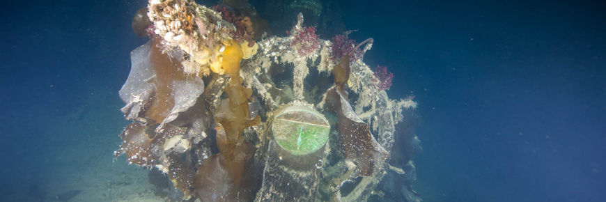 Helm of the ship partially covered in marine life.