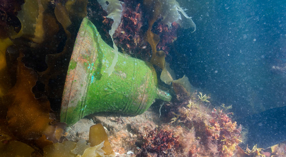 The bell, mostly green in appearance in the water.