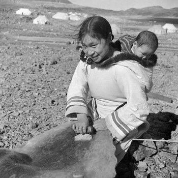 Inuit woman with baby on her back scraping a hide.