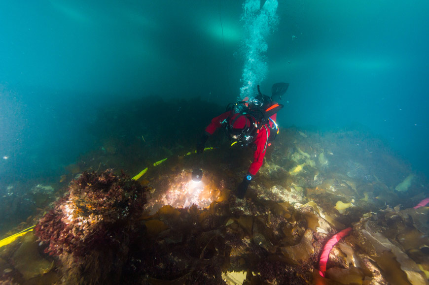 Un archéologue subaquatique plonge à l’épave de l’Erebus.