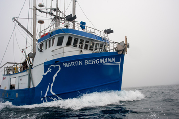 Navire de pêche bleu avec le nom « Martin Bergmann » et le dessin d’un ours polaire stylisé visibles sur sa proue.