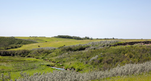 Vue du LHN de la Colline-Battle Hill-des-Giwangaks avec arbres et montagnes