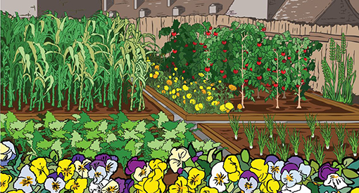 Illustration of a heritage garden in front of a historic site