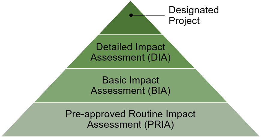 Representation of the four types of impact assessment pathways employed by Parks Canada for project-level assessments.
