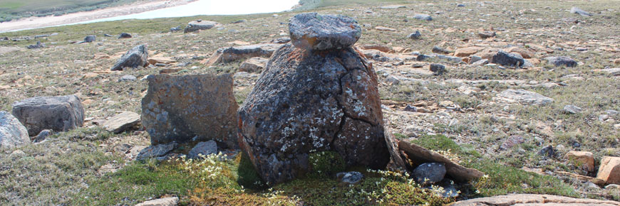 Une toundra parsemée de pierres avec une rivière en arrière-plan