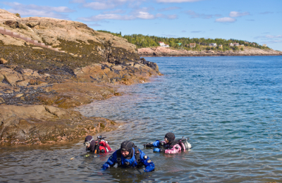 Trois plongeurs sont à moitié immergés dans l’eau à côté d’un rivage rocheux.