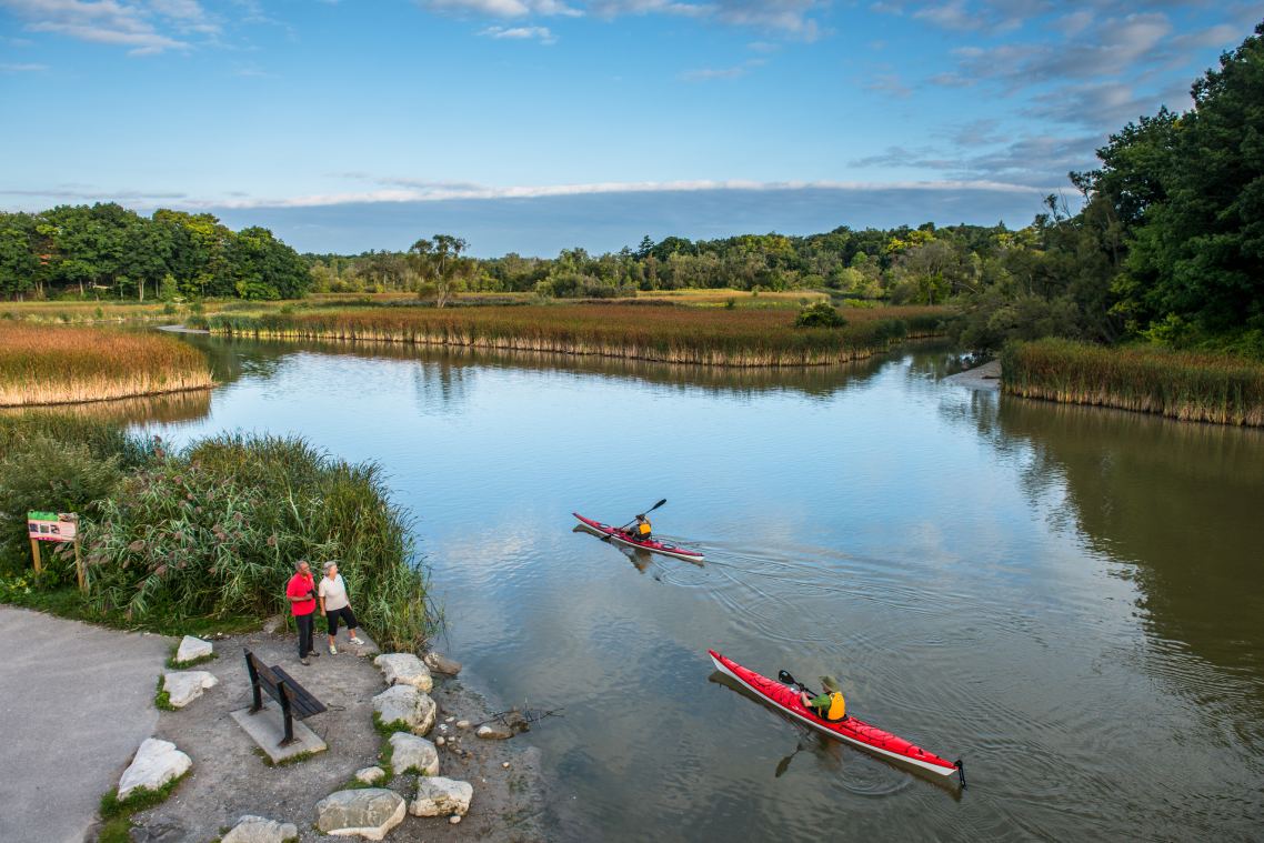 An aerial view of two people standing at the shore of an urban wetland watching two people in kayaks paddle by.