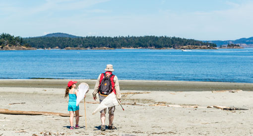 Un adulte et un enfant transportent des filets à papillons sur la plage