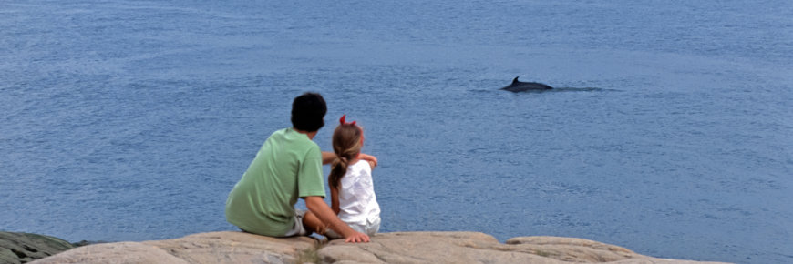 An adult and child looking out at a surfacing whale.