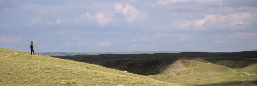 A person walking alone in a rolling grassland landscape.