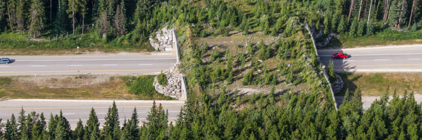 Un pont de pierre avec une surface de déplacement végétalisée chevauchant une autoroute à quatre voies