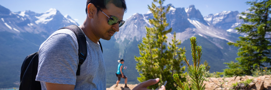 A man studies a pine seedling with mountains in the background.