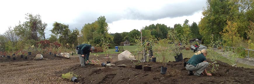 Two Parks Canada staff knelt down in the dirt of a large future flower bed, planting trees and shrubs.