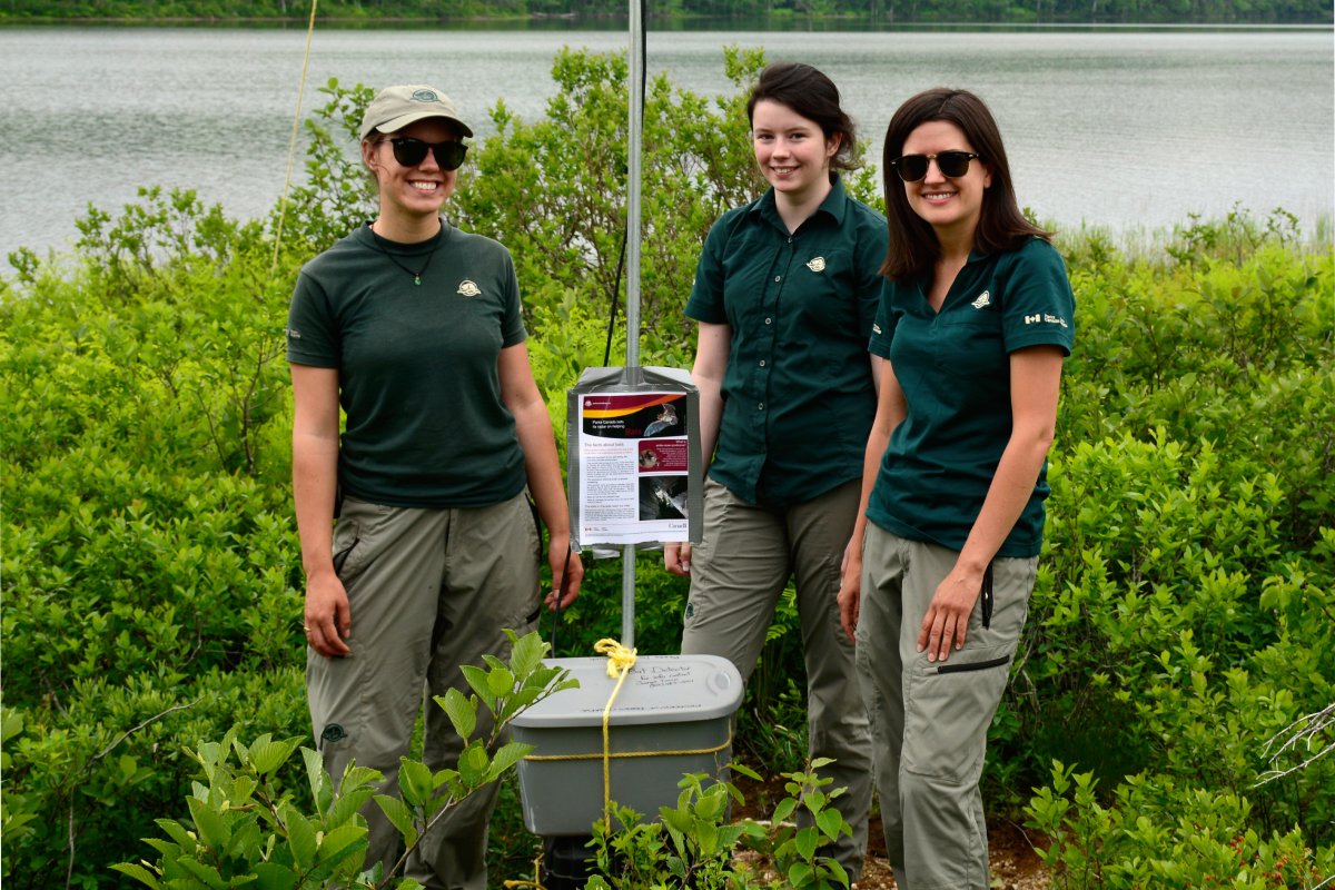 Three Parks Canada staff stand outdoors smiling next to a pole that has a special container and a bat poster fastened to it.