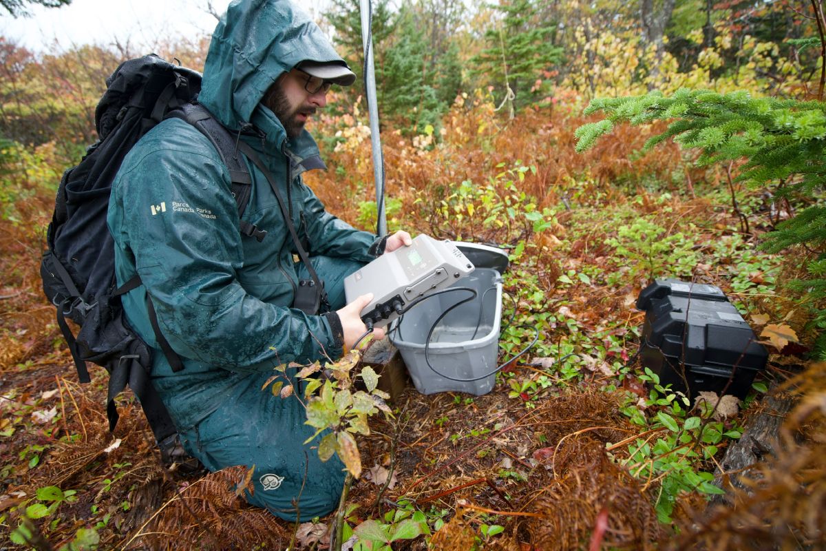 A Parks Canada staff person holds a device.