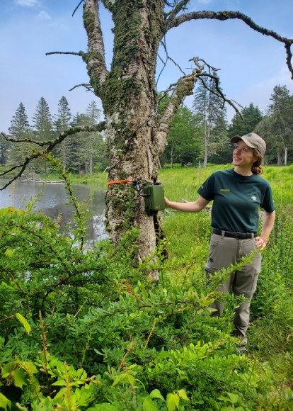 A Parks Canada staff person stands smiling next to a tree with a green container mounted onto it in the forest near water.