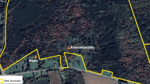 Carte d’une section du parc national de l’Île-du-Prince-Édouard montrant l’ancien emplacement du dortoir à chauves-souris ainsi que le site relocalisé à l’intérieur des limites du parc