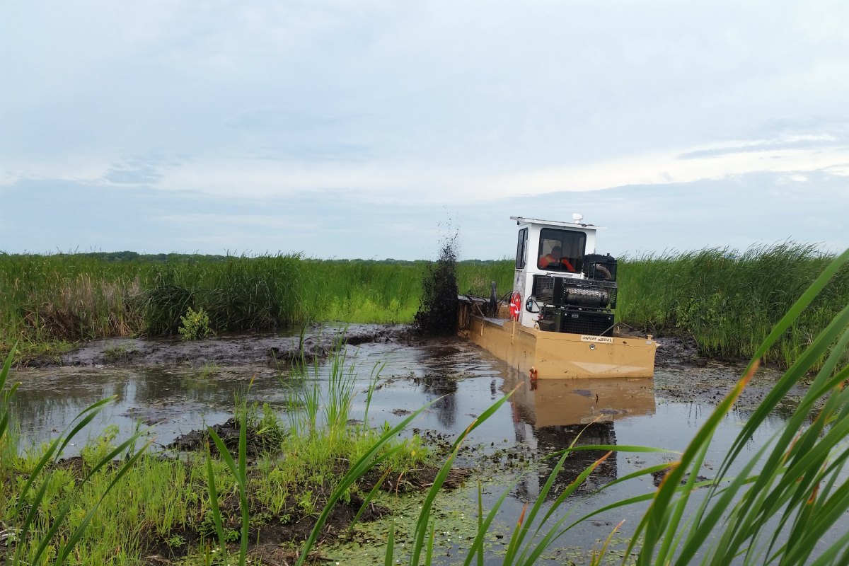 A heavy-duty piece of machinery thrashes through the water while cutting down invasive cattails.