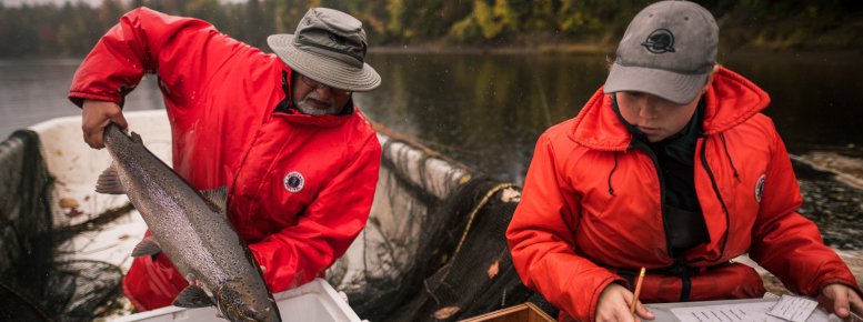 Un employé de l'équipe de conservation des ressources sur un bateau qui prend des échantillons d'un saumon lors du projet des trappes de saumons au parc national Kouchibouguac.