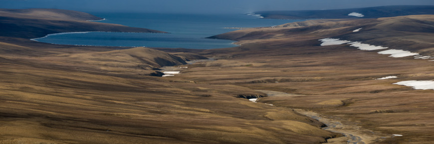 Tundra landscape with the sea in the background