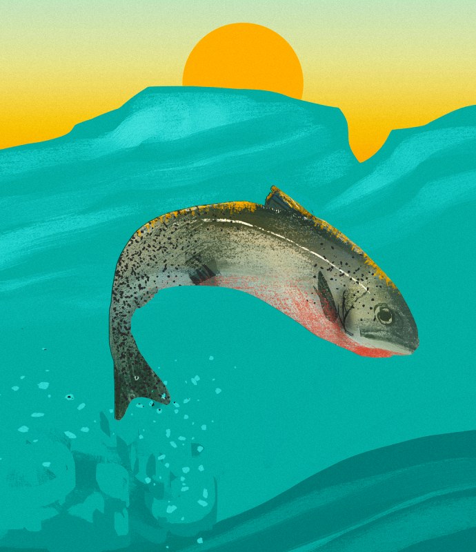 An illustration of a fish jumping out of teal coloured water with an orange sun setting in the background.