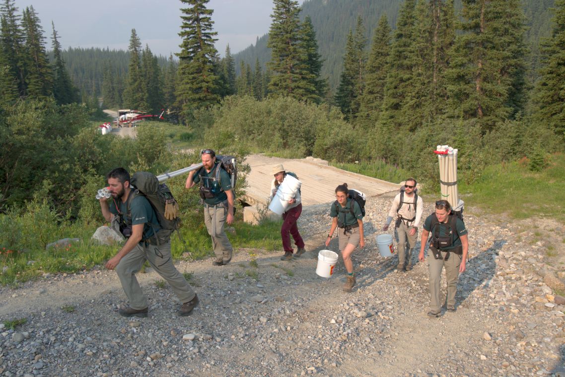 A group of six people carry buckets and polls away from a helicopter up a steep rocky hillside through a forest.