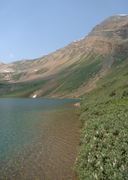 The edge of a clear blue lake hugs a mountainous shoreline covered in thick shrubs.