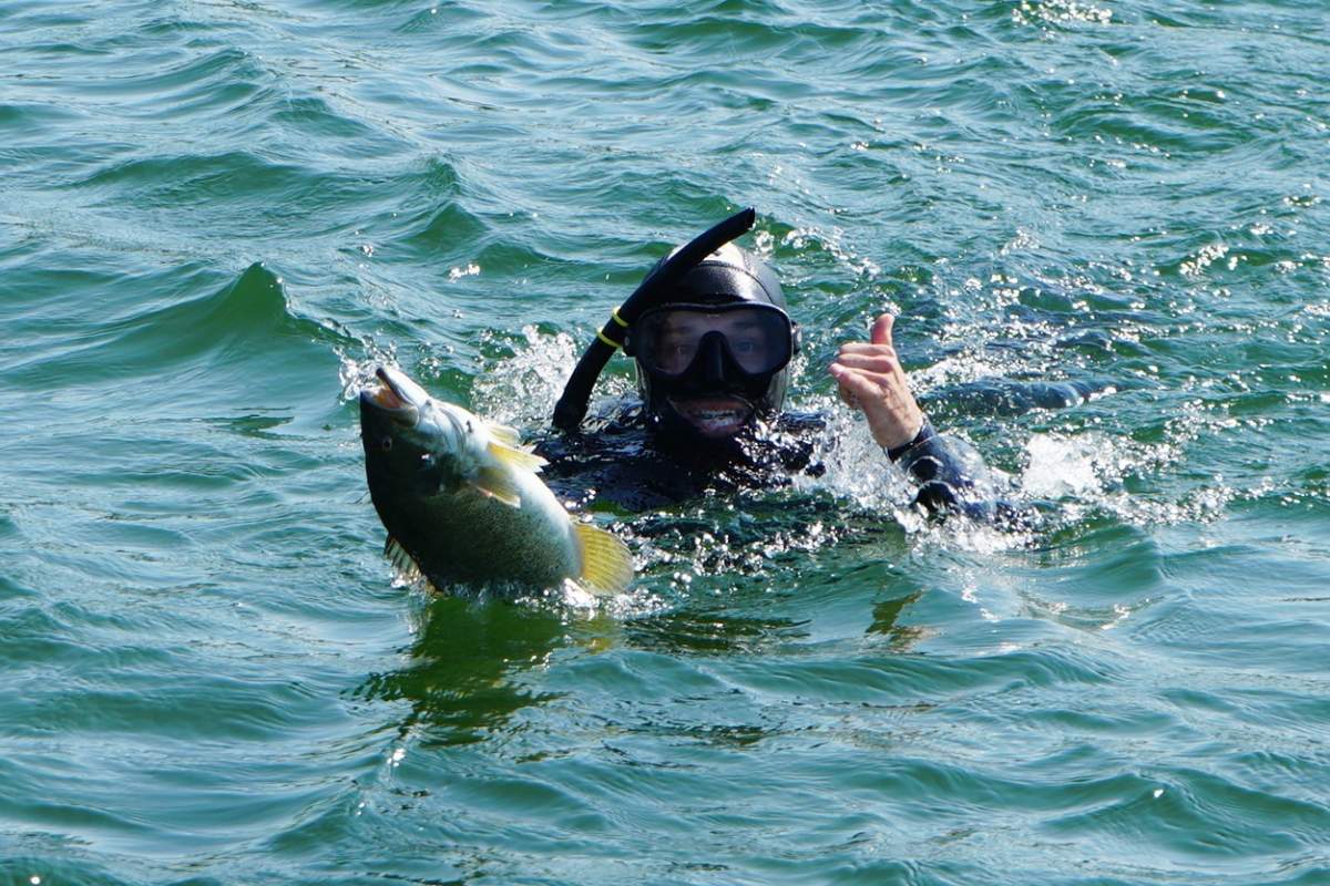 Un plongeur en apnée lève le pouce en tenant le poisson capturé sur son harpon.